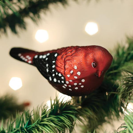 Old World Christmas Strawberry Finch Ornament