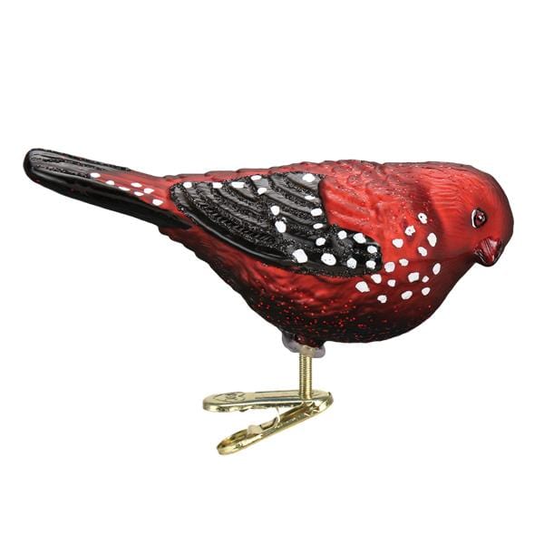 Old World Christmas Strawberry Finch Ornament