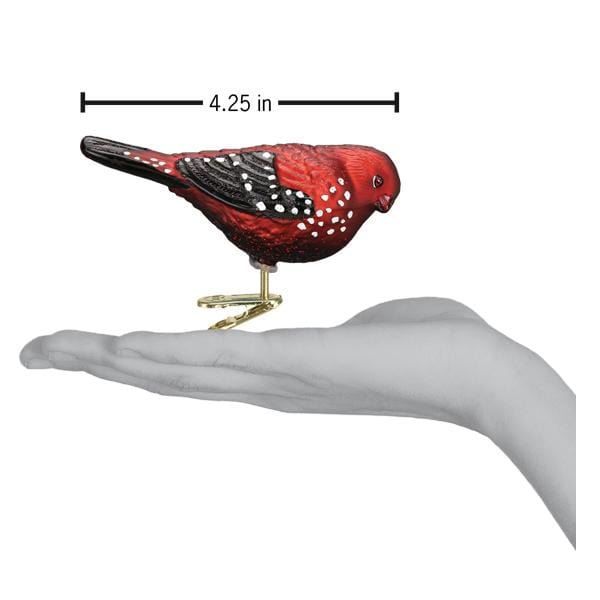 Old World Christmas Strawberry Finch Ornament