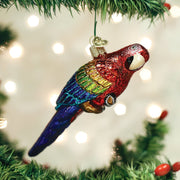 Old World Christmas Tropical Parrot Ornament