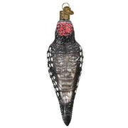 Old World Christmas Vintage Hairy Woodpecker Ornament