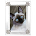 OLIVIA RIEGEL® Picture Frames Paw Print Frame