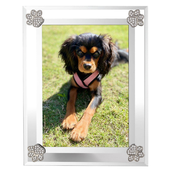 OLIVIA RIEGEL® Picture Frames Paw Print Frame