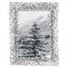 OLIVIA RIEGEL® Picture Frames Twinkles Frame