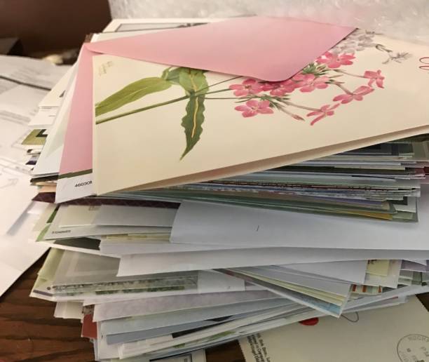 Quirks! Cards Set of 3 Random Greeting Cards