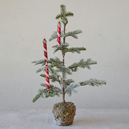 Quirks! Christmas 6"H Glass Candle Clip-on Ornaments w/ Glitter, Red & White, Boxed Set of 3 by Creative Co-Op