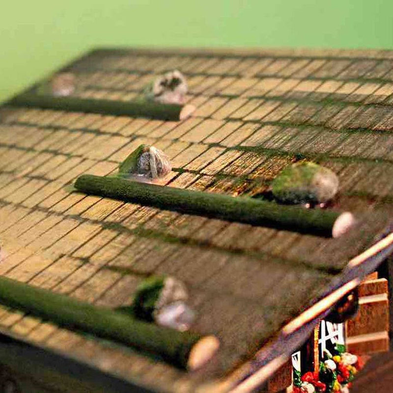 Quirks! Cuckoo Clock Classic Brienz Chalet in Amber Cuckoo Clock