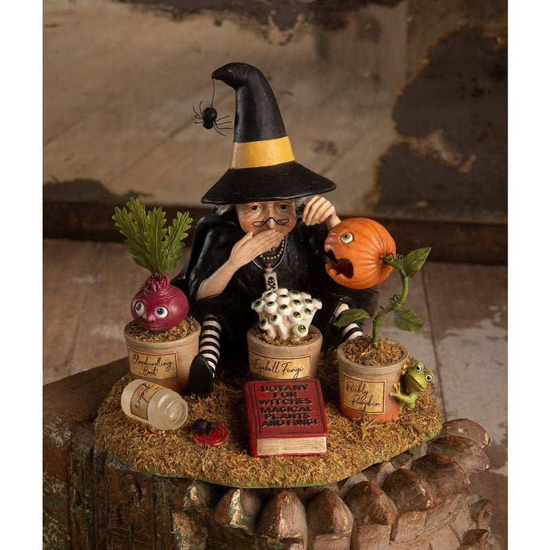 Quirks! Figurines Botany Witch by Bethany Lowe Designs