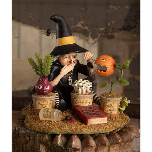 Quirks! Figurines Botany Witch by Bethany Lowe Designs