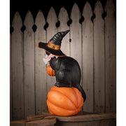 Quirks! Figurines Cat Witch on Pumpkin by Bethany Lowe Designs