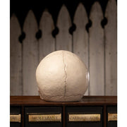 Quirks! Figurines Skull Votive by Bethany Lowe Designs