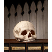 Quirks! Figurines Skull Votive by Bethany Lowe Designs