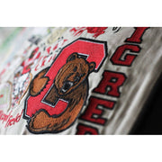 Quirks! Pillows Cornell University Collegiate Embroidered Pillow by CatStudio