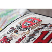 Quirks! Pillows Harvard University Collegiate Embroidered Pillow by CatStudio