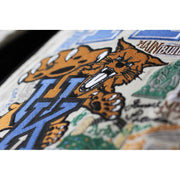 Quirks! Pillows Kentucky, University of Collegiate Embroidered Pillow by CatStudio