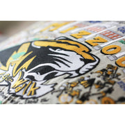 Quirks! Pillows Missouri, University of (Mizzou) Collegiate Hand-Embroidered Pillow