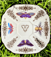 Quirks! tea cup Belle du Jour Teacup and Saucer by Miss Havisham