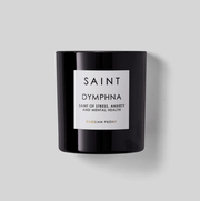 Saint by Ira DeWitt Saint Dymphna Saint of Stress, Anxiety and Mental Health