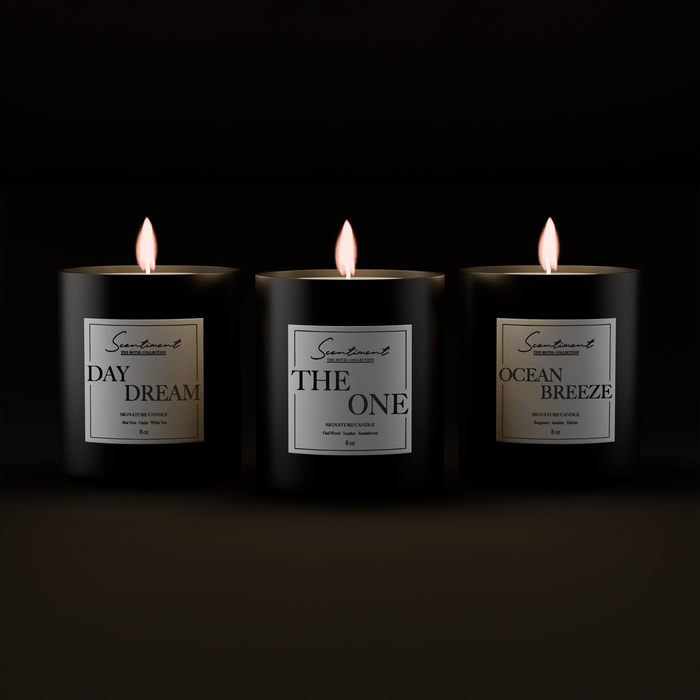 Scentiment Candles Hotel Collection Candle Discovery Set