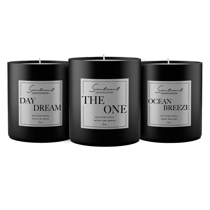 Scentiment Candles Hotel Collection Candle Discovery Set