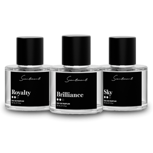 Scentiment Perfume & Cologne Men's Fragrance Discovery Set