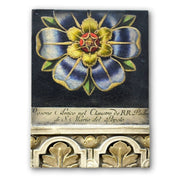 Sid Dickens Memory Blocks Ceiling Rose