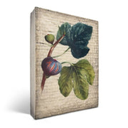 Sid Dickens Memory Blocks Fig Memory Block Tile