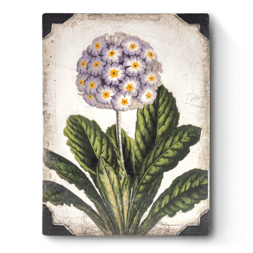 Sid Dickens Memory Blocks First Bloom - RETIRED Memory Block Tile