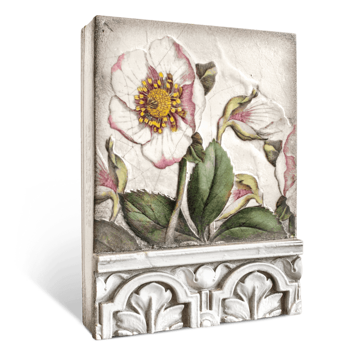 Sid Dickens Memory Blocks Hellebores