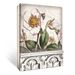 Sid Dickens Memory Blocks Hellebores