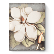 Sid Dickens Memory Blocks Magnolia Memory Block Tile