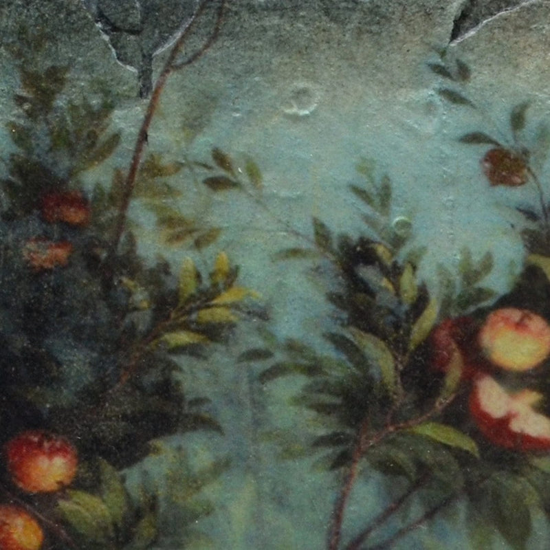 Sid Dickens Memory Blocks Nature's Glory Memory Block Tile - Retired