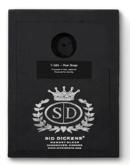 Sid Dickens Memory Blocks Pear Drops