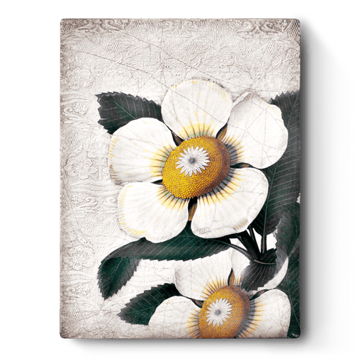 Sid Dickens Memory Blocks White Blossom - RETIRED