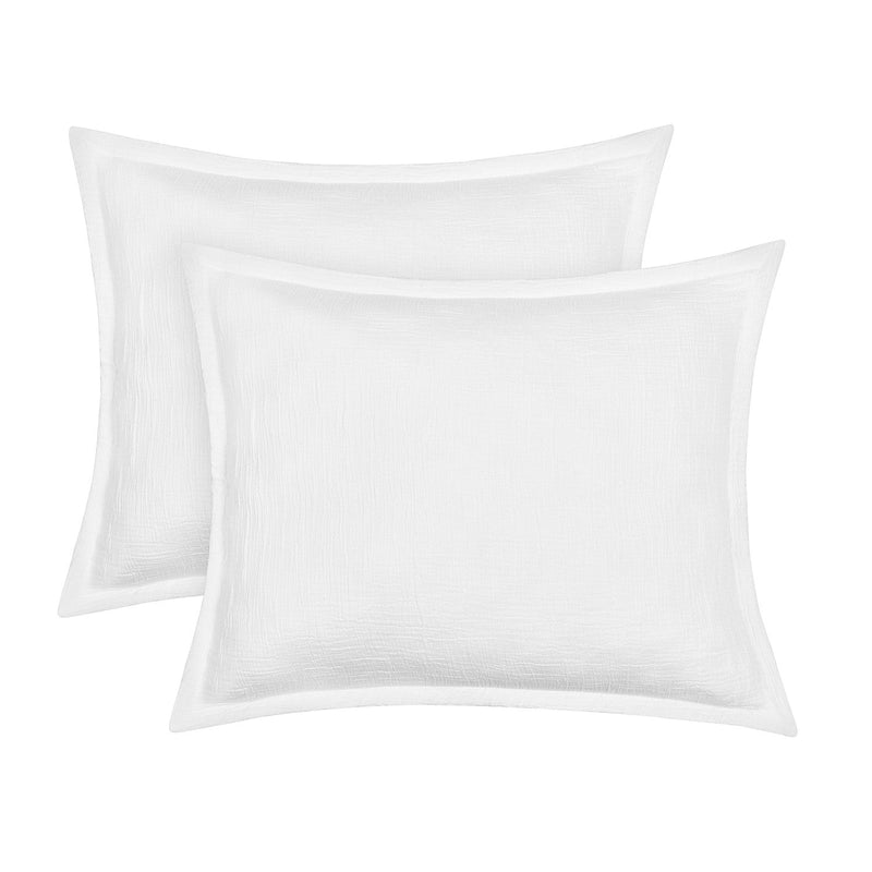 South Seas Sham