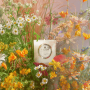 Voluspa Unclassified Wildflowers 9.5 oz Classic